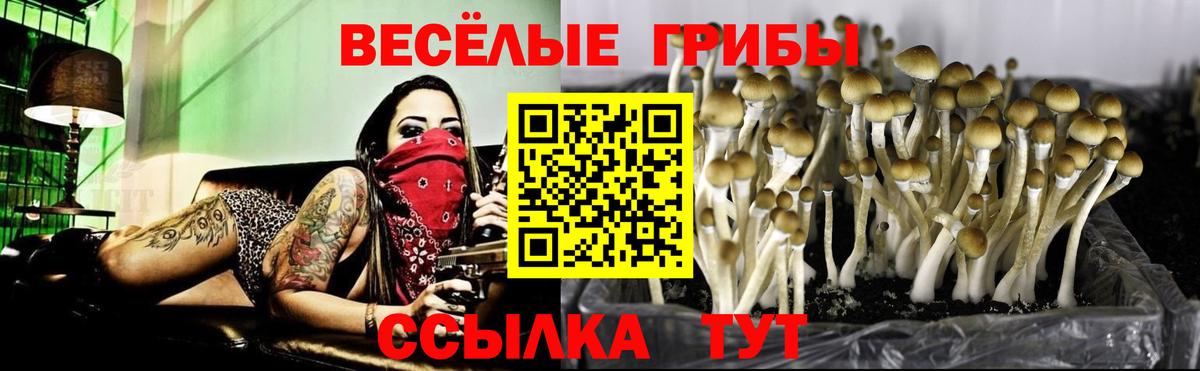 Галлюциногенные грибы GOLDEN TEACHER Анжеро-Судженск